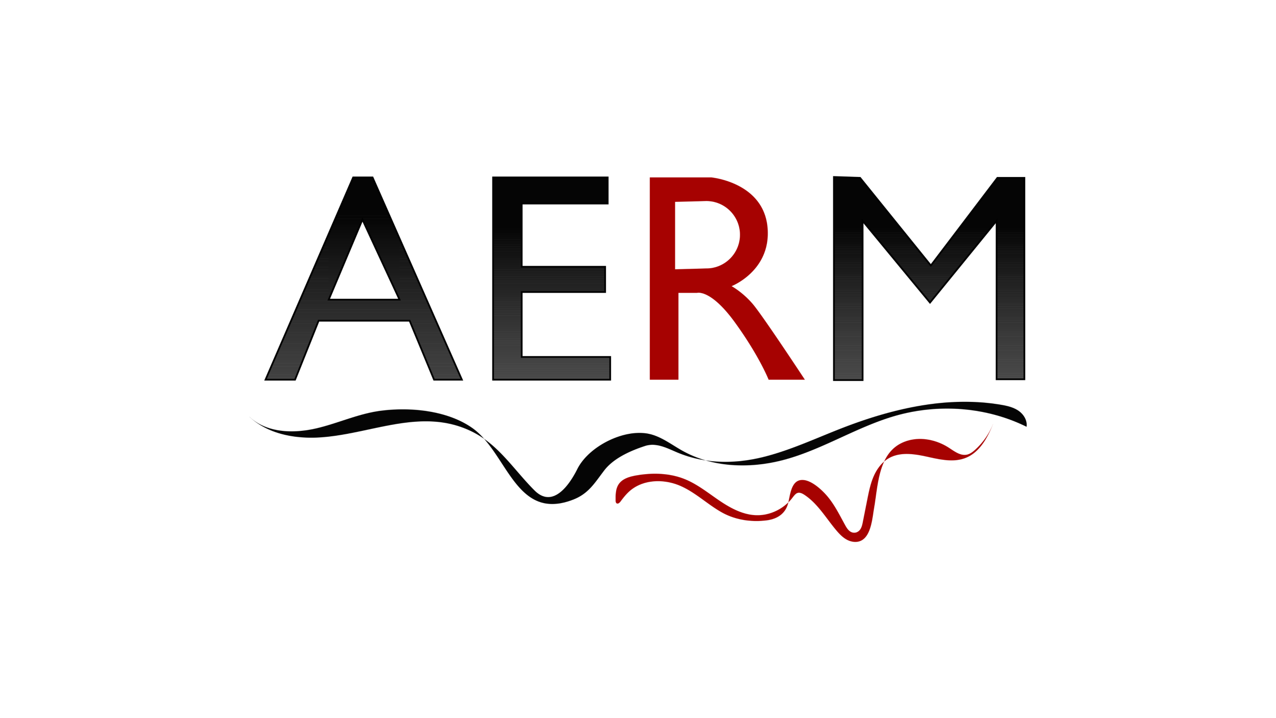 AERM - Alliance of European Republican Movements
